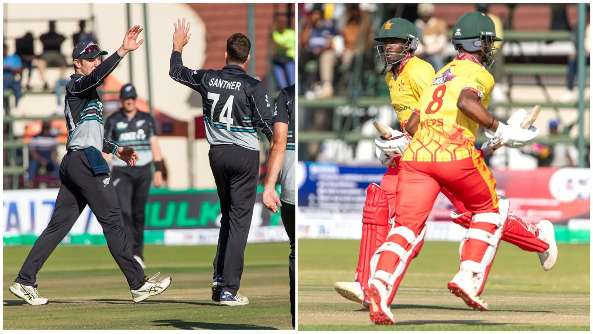 ZIM vs NZ Test